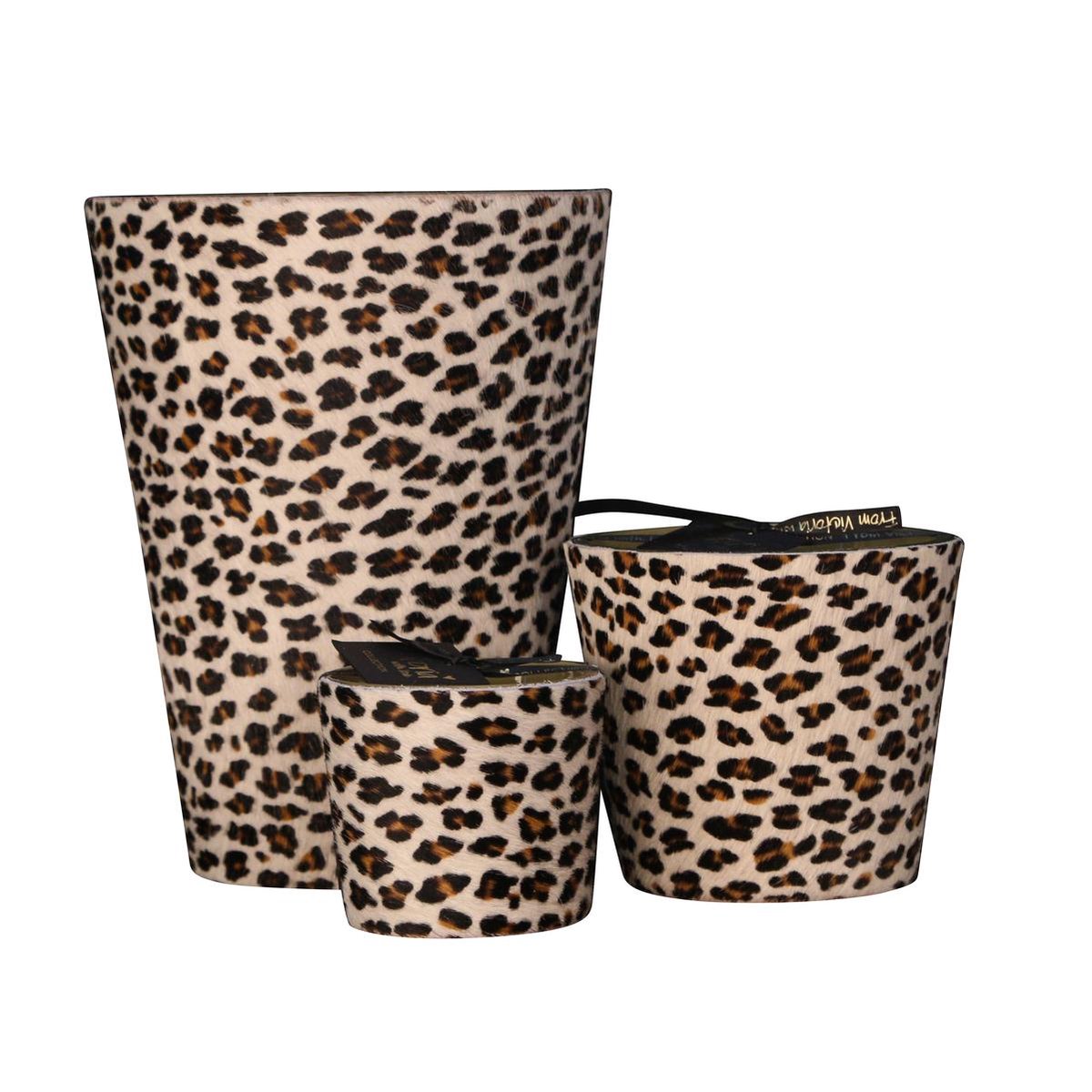 Victoria doftljus Hairy Leopard Small
