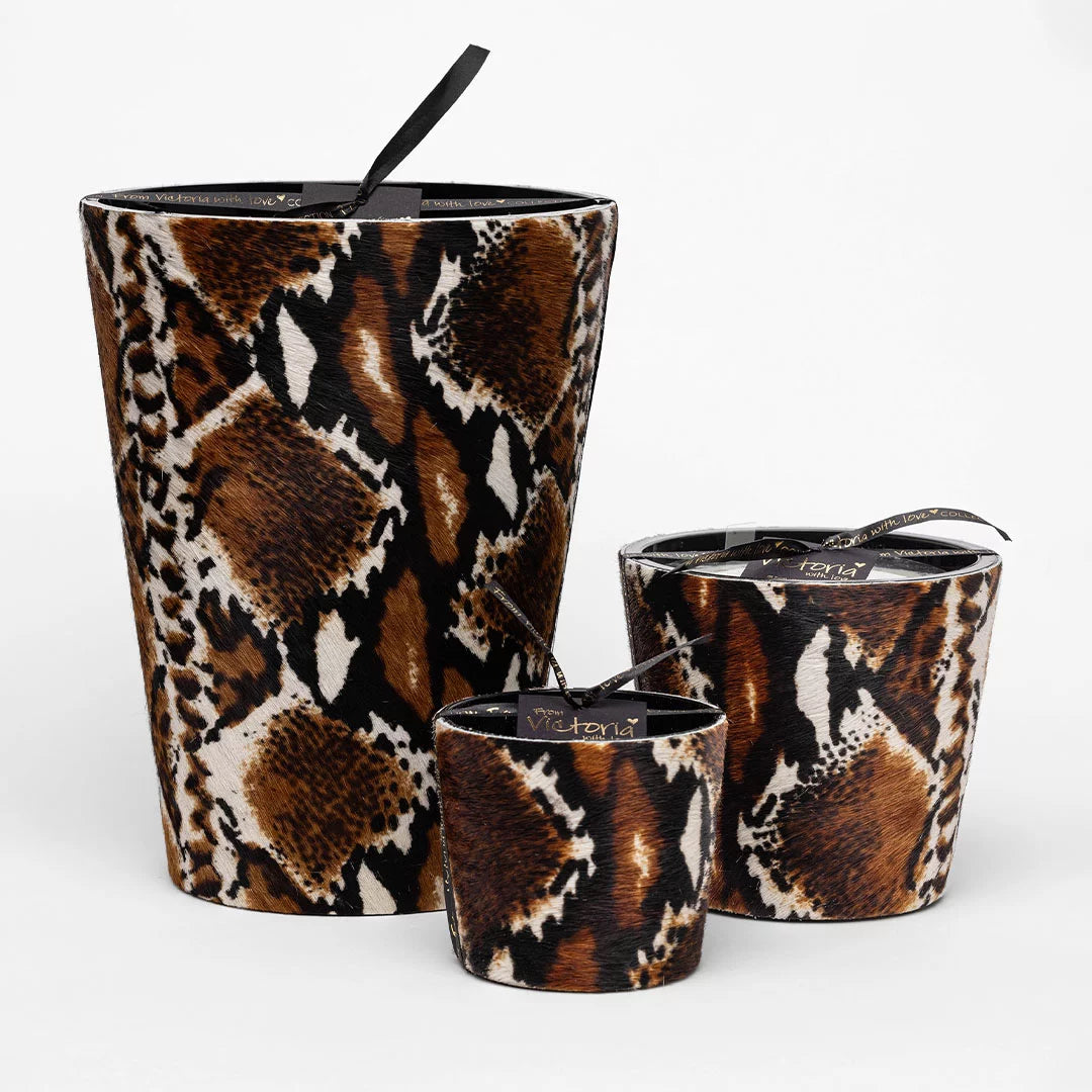 Victoria doftljus Hairy Python Small