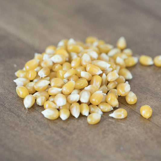 A.C. Popcorn Medium Yellow