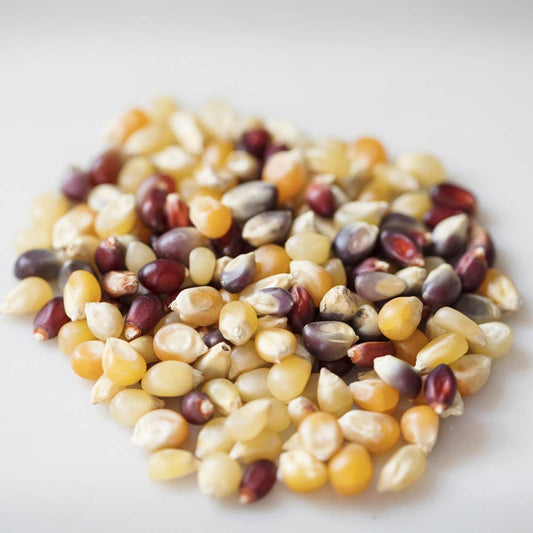 A.C. Popcorn Rainbow