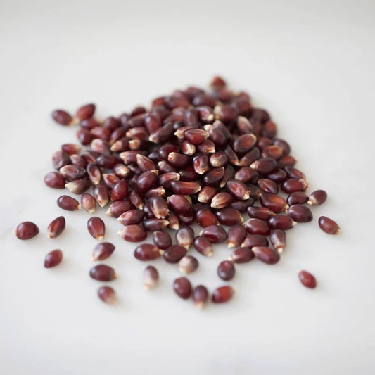 A.C. Popcorn Red